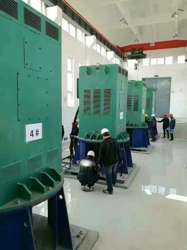 排浦镇某污水处理厂使用我厂的立式高压电机安装现场