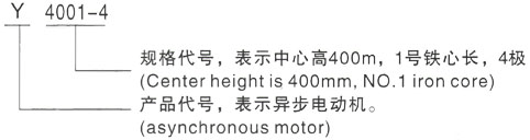 西安泰富西玛Y系列(H355-1000)高压排浦镇三相异步电机型号说明